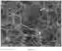 Fig. 13 - Superhydrophobic covalent organic framework materials