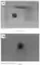 Fig. 19 - Superhydrophobic covalent organic framework materials