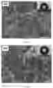 Fig. 27 - Superhydrophobic covalent organic framework materials