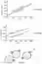 Fig. 02 - Method for manufacturing an aluminium alloy part by additive manufacturing from a mixture of powders containing yttria-stabilized zirconia