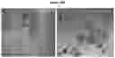 Fig. 22 - Polymorphic forms of RAD1901-2HCL