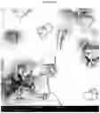 Fig. 25 - Polymorphic forms of RAD1901-2HCL