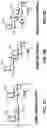 Fig. 03 - Glycan-binding proteins and related compositions and methods