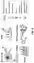 Fig. 09 - Glycan-binding proteins and related compositions and methods