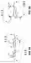 Fig. 12 - Glycan-binding proteins and related compositions and methods