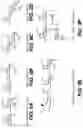 Fig. 13 - Glycan-binding proteins and related compositions and methods