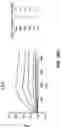 Fig. 17 - Glycan-binding proteins and related compositions and methods