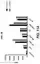 Fig. 18 - Glycan-binding proteins and related compositions and methods