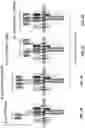 Fig. 03 - Compositions and methods for TCR reprogramming using fusion proteins