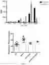 Fig. 16 - Molecular Size of Elastin-Like Polypeptide Delivery System for Therapeutics Modulates Deposition in the Placenta