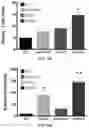 Fig. 23 - Molecular Size of Elastin-Like Polypeptide Delivery System for Therapeutics Modulates Deposition in the Placenta