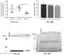 Fig. 27 - Molecular Size of Elastin-Like Polypeptide Delivery System for Therapeutics Modulates Deposition in the Placenta