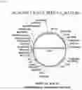 Fig. 02 - Method for treating skin diseases using a humanized antibody that binds to vimentin
