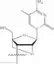 Fig. 167 - OLIGONUCLEOTIDE COMPOSITIONS AND METHODS THEREOF