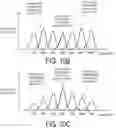Fig. 09 - Display device and display method of image