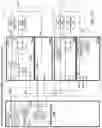Fig. 28 - Memory system with cached memory module operations