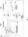Fig. 04 - Coverage analysis with event clustering