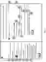 Fig. 06 - Job prospect and applicant information processing
