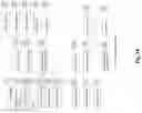 Fig. 18 - Job prospect and applicant information processing