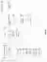 Fig. 25 - Job prospect and applicant information processing