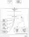 Fig. 02 - Assessment and analysis of software security flaws