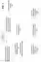 Fig. 02 - Multizone illumination for optical face identification