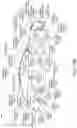 Fig. 13 - USING DECAY PARAMETERS FOR INFERENCING WITH NEURAL NETWORKS