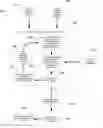 Fig. 01 - Optimizing Reserve Crew Patterns