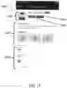 Fig. 17 - Virtual, location-based connection tool for service providers and users