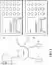Fig. 02 - Identity authentication method, device, and system