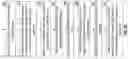 Fig. 10 - GENERATING A PORTFOLIO OF BLOCKCHAIN-ENCODED RIVED LONGEVITY-CONTINGENT INSTRUMENTS