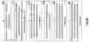 Fig. 13 - GENERATING A PORTFOLIO OF BLOCKCHAIN-ENCODED RIVED LONGEVITY-CONTINGENT INSTRUMENTS