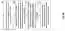 Fig. 28 - GENERATING A PORTFOLIO OF BLOCKCHAIN-ENCODED RIVED LONGEVITY-CONTINGENT INSTRUMENTS