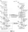 Fig. 04 - Real-time content generation