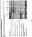 Fig. 61 - Searching pre-generated data structures for event impact discovery