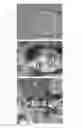 Fig. 08 - Image transformation by fusion