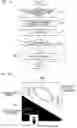 Fig. 33 - Image inspection apparatus and setting method for image inspection apparatus
