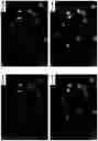 Fig. 45 - Tracking biological objects over time and space