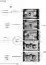 Fig. 05 - User guided iterative frame and scene segmentation via network overtraining