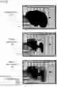 Fig. 07 - User guided iterative frame and scene segmentation via network overtraining