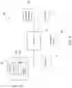 Fig. 06 - Video processing