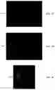 Fig. 06 - Single-pass boundary detection in video-based point cloud compression