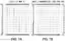 Fig. 08 - SYSTEMS AND METHODS FOR COMPRESSING 3D PRINTER DATA