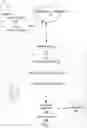 Fig. 02 - Three-dimensional modeling toolkit
