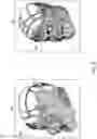 Fig. 09 - Three-dimensional modeling toolkit