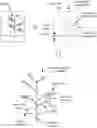 Fig. 01 - System and method of virtual plant field modelling