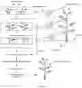 Fig. 06 - System and method of virtual plant field modelling