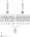 Fig. 15 - Method and apparatus for processing three-dimensional (3D) image