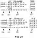 Fig. 22 - Method and system for displaying PIDs based on a PID filter list