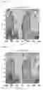 Fig. 09 - Motor control apparatus